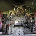 IMG_7892 (May 28, 2024)